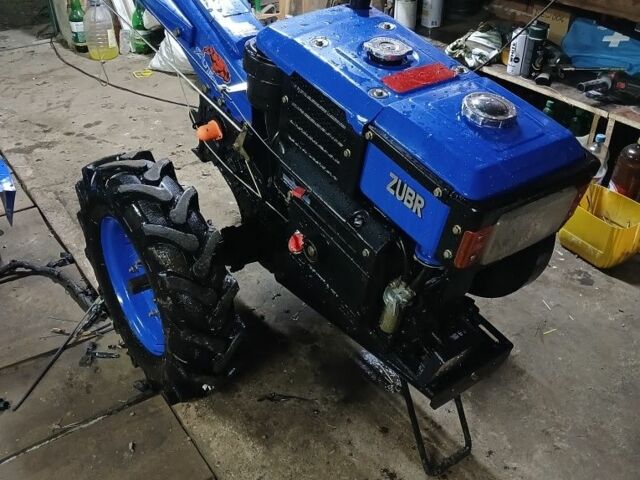 Синий Зубр 10, объемом двигателя 0 л и пробегом 10 тыс. км за 1081 $, фото 3 на Automoto.ua