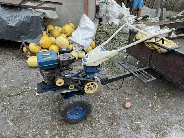 Синий Зубр 170F, объемом двигателя 0.52 л и пробегом 2 тыс. км за 430 $, фото 1 на Automoto.ua