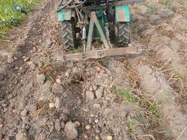 Зубр Другая 2003 в Бердичеве на Automoto.ua Зубр Другая, объемом двигателя 0 л и пробегом 444 тыс. км за 1072 $, фото 3 на Automoto.ua