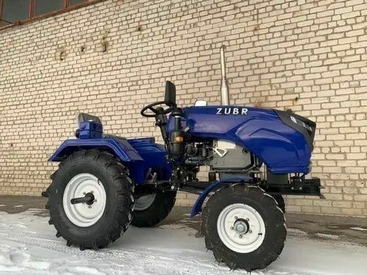 Зубр Другая, объемом двигателя 0 л и пробегом 17 тыс. км за 2677 $, фото 11 на Automoto.ua