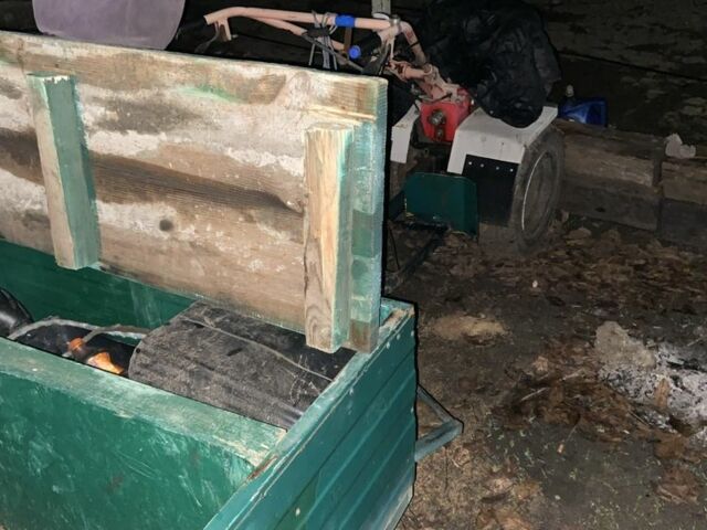 Зубр Інша, об'ємом двигуна 0 л та пробігом 0 тис. км за 738 $, фото 4 на Automoto.ua