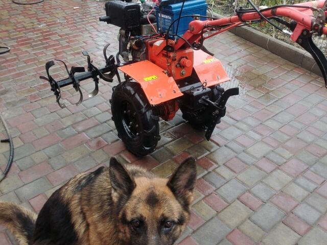 Зубр Другая, объемом двигателя 0.18 л и пробегом 50 тыс. км за 403 $, фото 2 на Automoto.ua