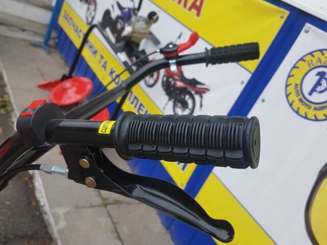 Зубр Інша, об'ємом двигуна 0 л та пробігом 0 тис. км за 390 $, фото 10 на Automoto.ua