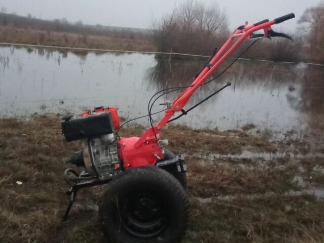 Зубр Інша, об'ємом двигуна 0.3 л та пробігом 25 тис. км за 662 $, фото 2 на Automoto.ua