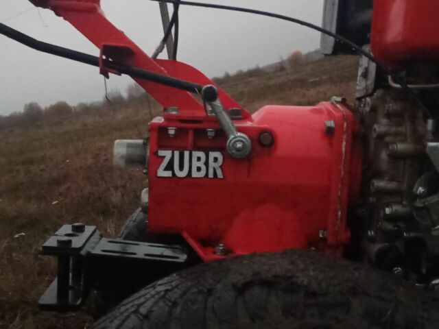 Зубр Другая, объемом двигателя 0 л и пробегом 0 тыс. км за 572 $, фото 3 на Automoto.ua