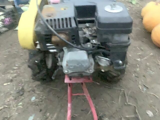 Красный Зубр GN-2, объемом двигателя 0.2 л и пробегом 100 тыс. км за 257 $, фото 1 на Automoto.ua