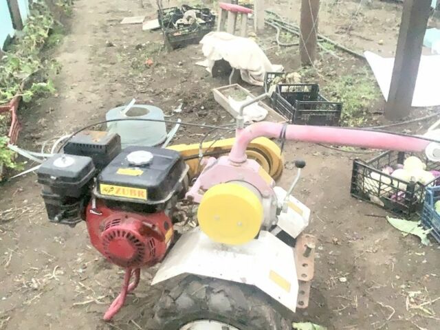 Красный Зубр GN-2, объемом двигателя 0.2 л и пробегом 100 тыс. км за 257 $, фото 3 на Automoto.ua