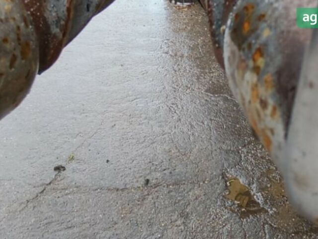 Akturk Claas, об'ємом двигуна 0 л та пробігом 0 тис. км за 24427 $, фото 9 на Automoto.ua