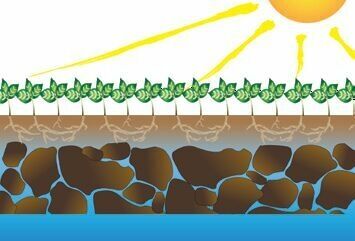 Желтый Alpego Другая, объемом двигателя 0 л и пробегом 0 тыс. км за 12081 $, фото 15 на Automoto.ua