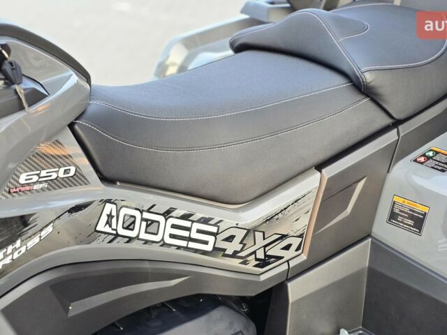 Aodes Pathcross 650L, объемом двигателя 0.65 л и пробегом 0 тыс. км за 8950 $, фото 4 на Automoto.ua