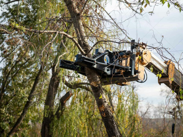 A.TOM Другая, объемом двигателя 6 л и пробегом 0 тыс. км за 150059 $, фото 11 на Automoto.ua
