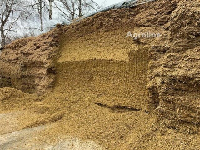 A.TOM Другая, объемом двигателя 6 л и пробегом 0 тыс. км за 522081 $, фото 9 на Automoto.ua