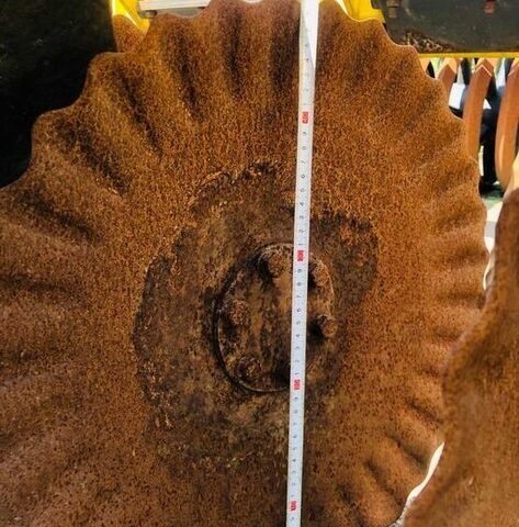 Желтый Беднар Другая, объемом двигателя 0 л и пробегом 0 тыс. км за 41287 $, фото 42 на Automoto.ua