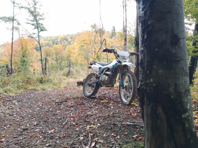 BSE Інша, об'ємом двигуна 0.25 л та пробігом 0 тис. км за 1250 $, фото 1 на Automoto.ua