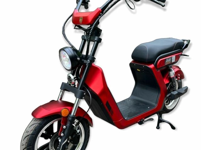 Citycoco 4310, объемом двигателя 10.85 л и пробегом 0 тыс. км за 65000 $, фото 12 на Automoto.ua