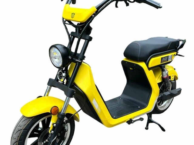 Citycoco 4310, объемом двигателя 10.85 л и пробегом 0 тыс. км за 65000 $, фото 8 на Automoto.ua