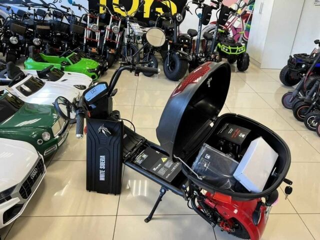 Citycoco 5312, объемом двигателя 4.25 л и пробегом 0 тыс. км за 638 $, фото 1 на Automoto.ua