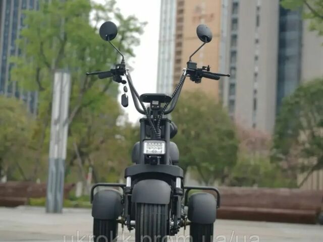 Citycoco 6510, объемом двигателя 14.86 л и пробегом 0 тыс. км за 1580 $, фото 3 на Automoto.ua
