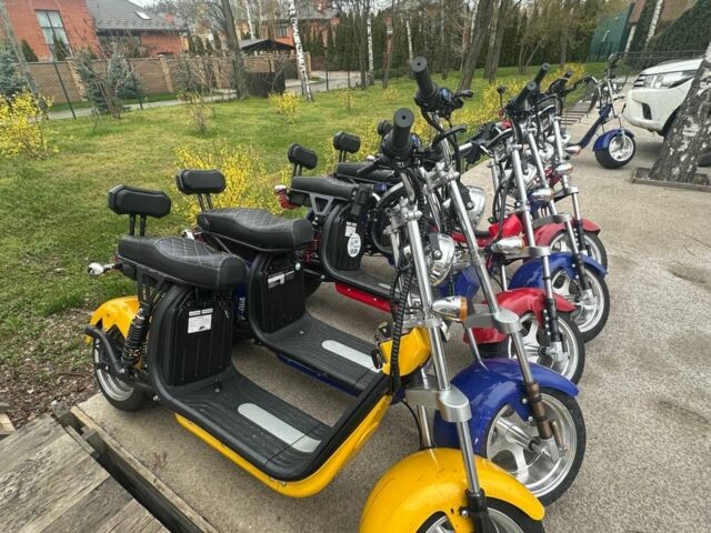 Citycoco 6510, объемом двигателя 14.86 л и пробегом 0 тыс. км за 1899 $, фото 8 на Automoto.ua