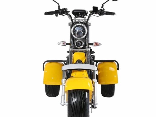 Citycoco Другая, объемом двигателя 0 л и пробегом 0 тыс. км за 76600 $, фото 3 на Automoto.ua