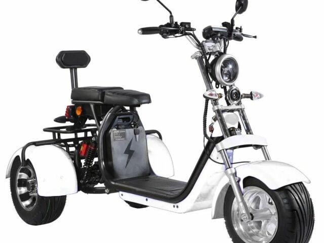 Citycoco Другая, объемом двигателя 0 л и пробегом 0 тыс. км за 76600 $, фото 1 на Automoto.ua