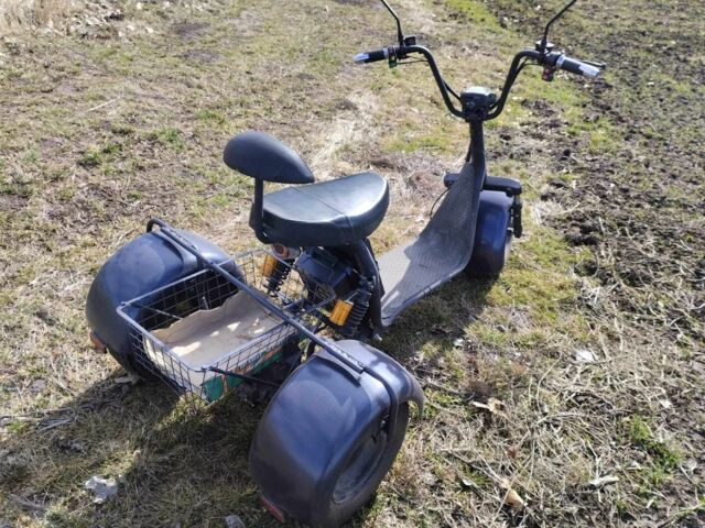 Citycoco Другая, объемом двигателя 0 л и пробегом 0 тыс. км за 39999 $, фото 4 на Automoto.ua
