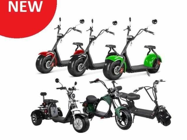 Citycoco Другая, объемом двигателя 0 л и пробегом 0 тыс. км за 1339 $, фото 5 на Automoto.ua