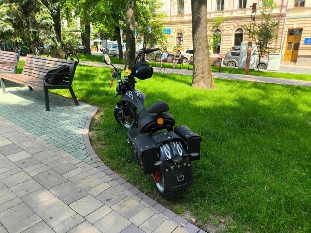 Citycoco Другая, объемом двигателя 0 л и пробегом 0 тыс. км за 80000 $, фото 2 на Automoto.ua