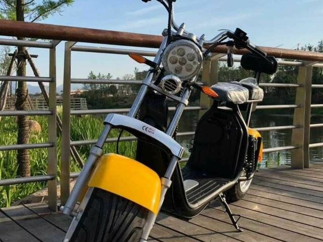 Citycoco Другая, объемом двигателя 0 л и пробегом 0 тыс. км за 1229 $, фото 1 на Automoto.ua