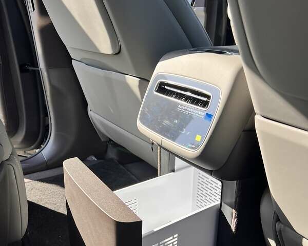 Черный Denza N9, объемом двигателя 0 л и пробегом 1 тыс. км за 92900 $, фото 21 на Automoto.ua