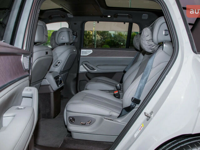 Denza N9, об'ємом двигуна 2 л та пробігом 0 тис. км за 76850 $, фото 27 на Automoto.ua