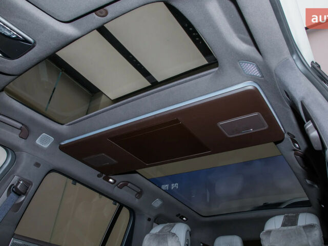 Denza N9, об'ємом двигуна 2 л та пробігом 0 тис. км за 76850 $, фото 26 на Automoto.ua