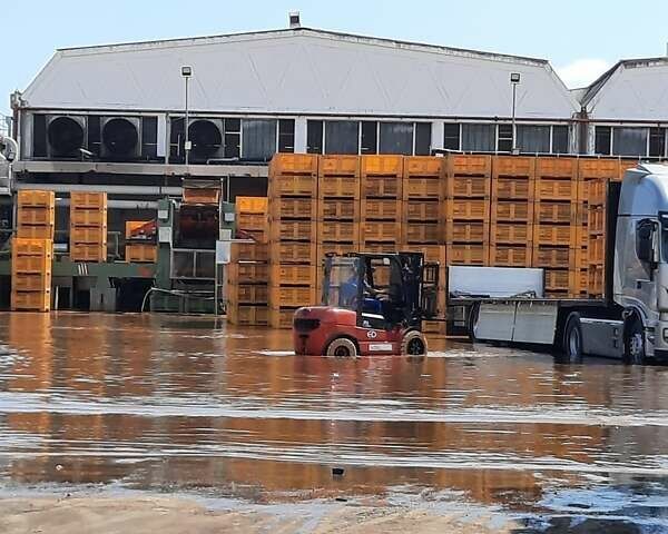 EP Equipment EFL, объемом двигателя 0 л и пробегом 0 тыс. км за 29950 $, фото 14 на Automoto.ua