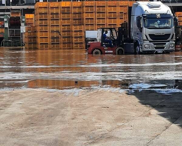 EP Equipment EFL, объемом двигателя 0 л и пробегом 0 тыс. км за 29950 $, фото 15 на Automoto.ua