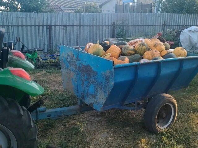 Зелений Файтер ХТ-244, об'ємом двигуна 0 л та пробігом 170 тис. км за 9000 $, фото 1 на Automoto.ua