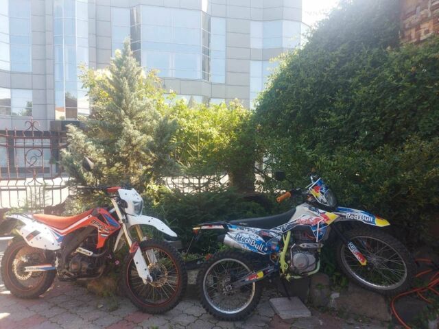 Hornet 6510, об'ємом двигуна 0.25 л та пробігом 0 тис. км за 1149 $, фото 5 на Automoto.ua