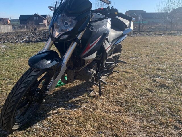 Hornet 95 XF 380, объемом двигателя 12.58 л и пробегом 0 тыс. км за 950 $, фото 5 на Automoto.ua