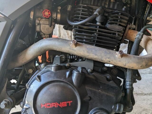 Hornet 95 XF 380, объемом двигателя 0.25 л и пробегом 0 тыс. км за 945 $, фото 7 на Automoto.ua