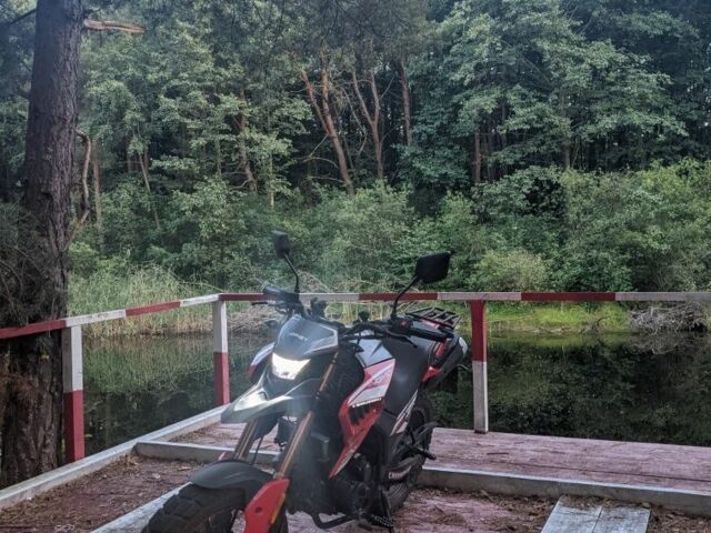 Hornet 95 XF 380, объемом двигателя 0.25 л и пробегом 0 тыс. км за 945 $, фото 10 на Automoto.ua