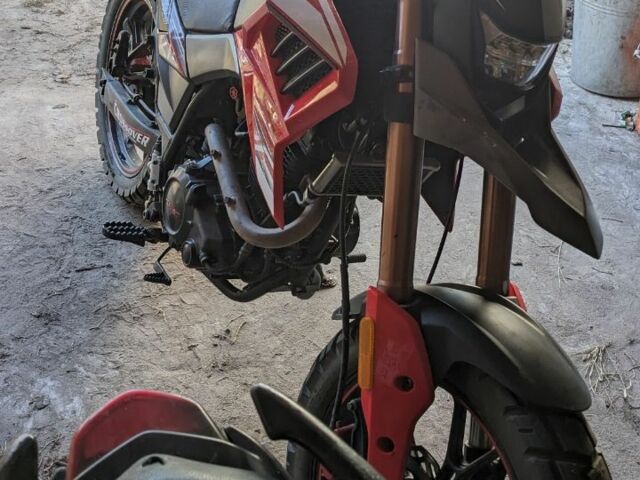 Hornet 95 XF 380, объемом двигателя 0.25 л и пробегом 0 тыс. км за 945 $, фото 9 на Automoto.ua