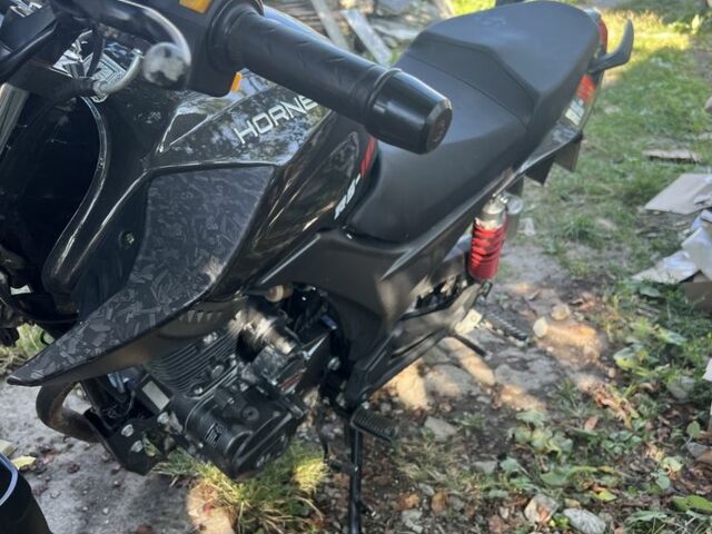 Hornet Другая, объемом двигателя 0.15 л и пробегом 0 тыс. км за 850 $, фото 2 на Automoto.ua