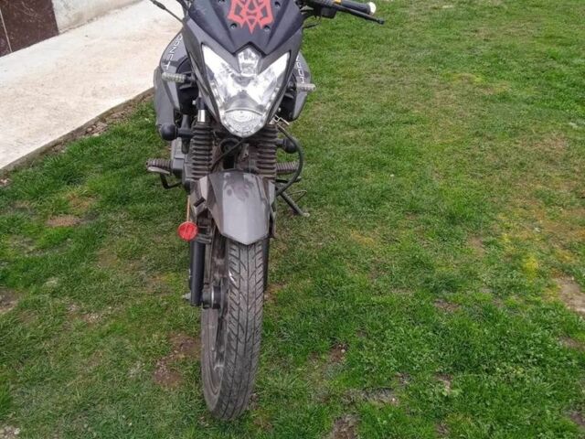 Hornet Другая, объемом двигателя 0.15 л и пробегом 0 тыс. км за 474 $, фото 3 на Automoto.ua