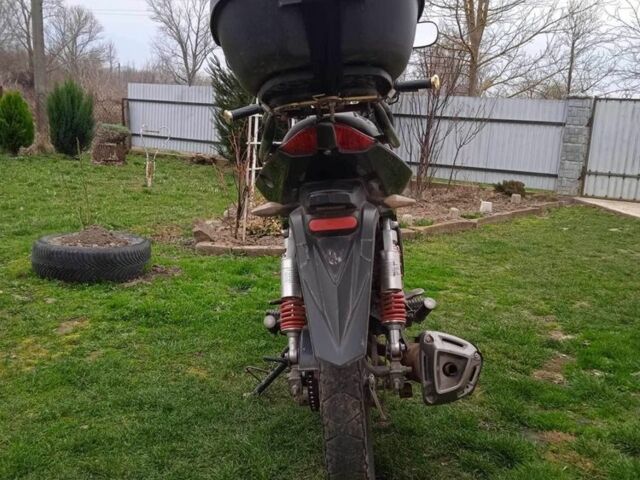 Hornet Другая, объемом двигателя 0.15 л и пробегом 0 тыс. км за 474 $, фото 1 на Automoto.ua