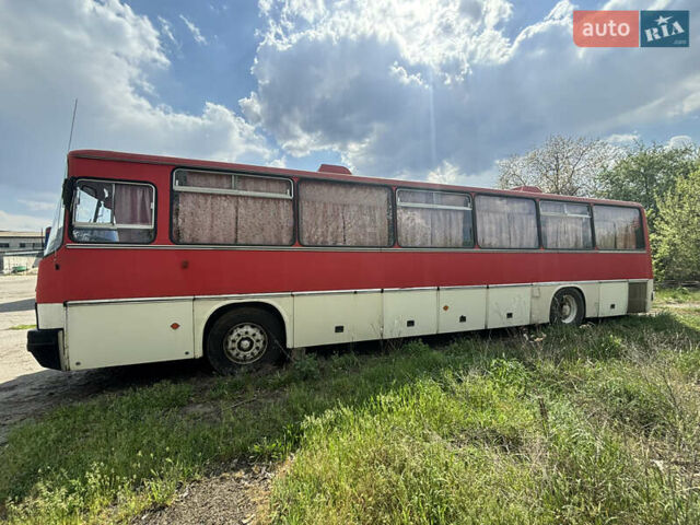 Красный Ikarus 250, объемом двигателя 0 л и пробегом 200 тыс. км за 4200 $, фото 3 на Automoto.ua