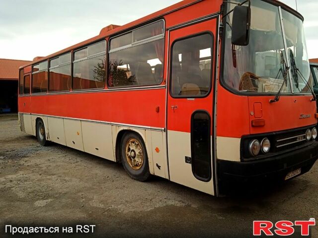 Ikarus 256, об'ємом двигуна 10.5 л та пробігом 0 тис. км за 5000 $, фото 2 на Automoto.ua