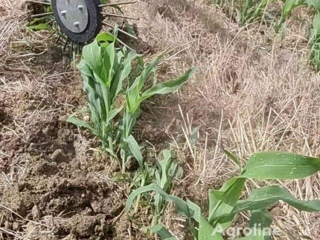 Коричневый MaxiMarin Другая, объемом двигателя 0 л и пробегом 0 тыс. км за 15155 $, фото 11 на Automoto.ua