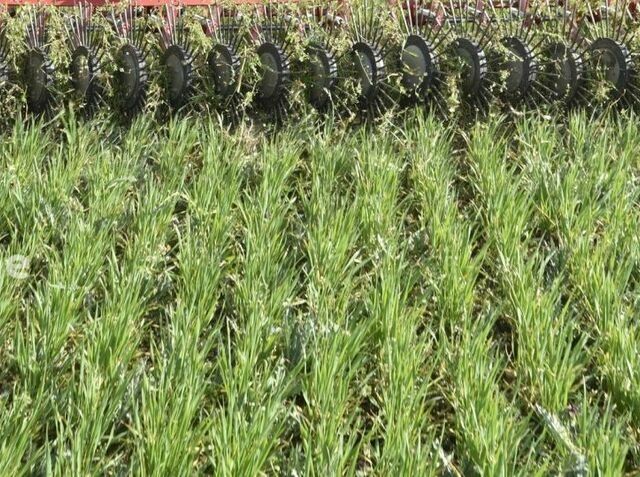 Коричневый MaxiMarin Другая, объемом двигателя 0 л и пробегом 0 тыс. км за 15155 $, фото 10 на Automoto.ua