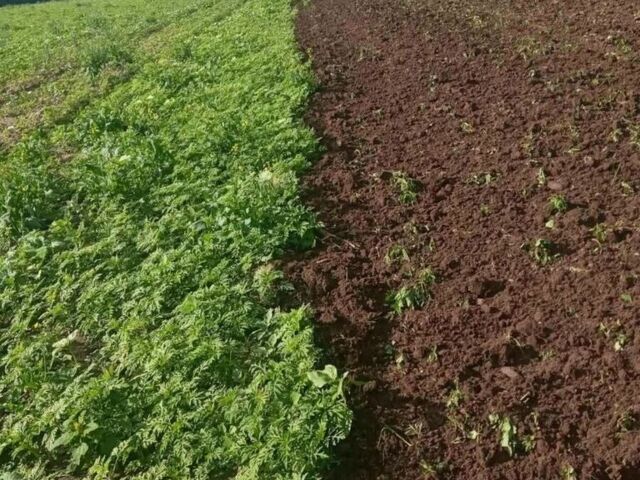 Красный Metal-Fach Другая, объемом двигателя 0 л и пробегом 0 тыс. км за 37798 $, фото 10 на Automoto.ua