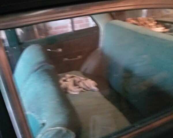 Москвич/АЗЛК 408, объемом двигателя 0 л и пробегом 60 тыс. км за 355 $, фото 14 на Automoto.ua