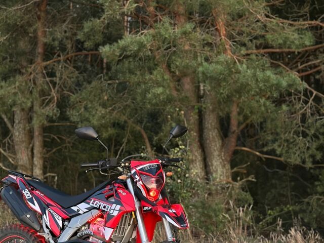 МОТО Інша, об'ємом двигуна 0.3 л та пробігом 0 тис. км за 2600 $, фото 3 на Automoto.ua